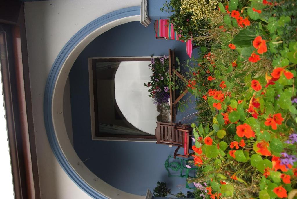 Gormans Country Home Киларни Екстериор снимка